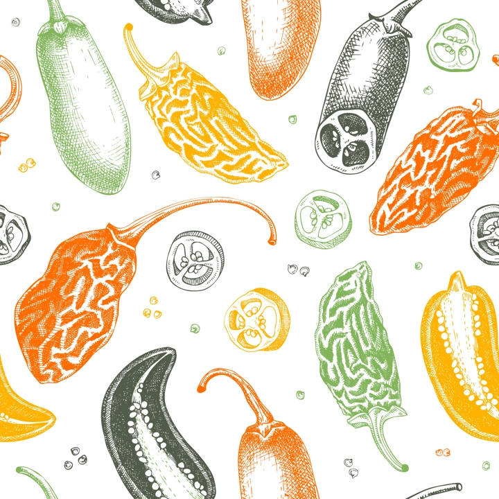 Mexican cuisine background. Ripe jalapeno chili pepper sketches. Hot spice seamless pattern. Healthy food hand drawn vector illustration. Jalapeno slices, seeds, chipotle for packaging, menu, fabric.